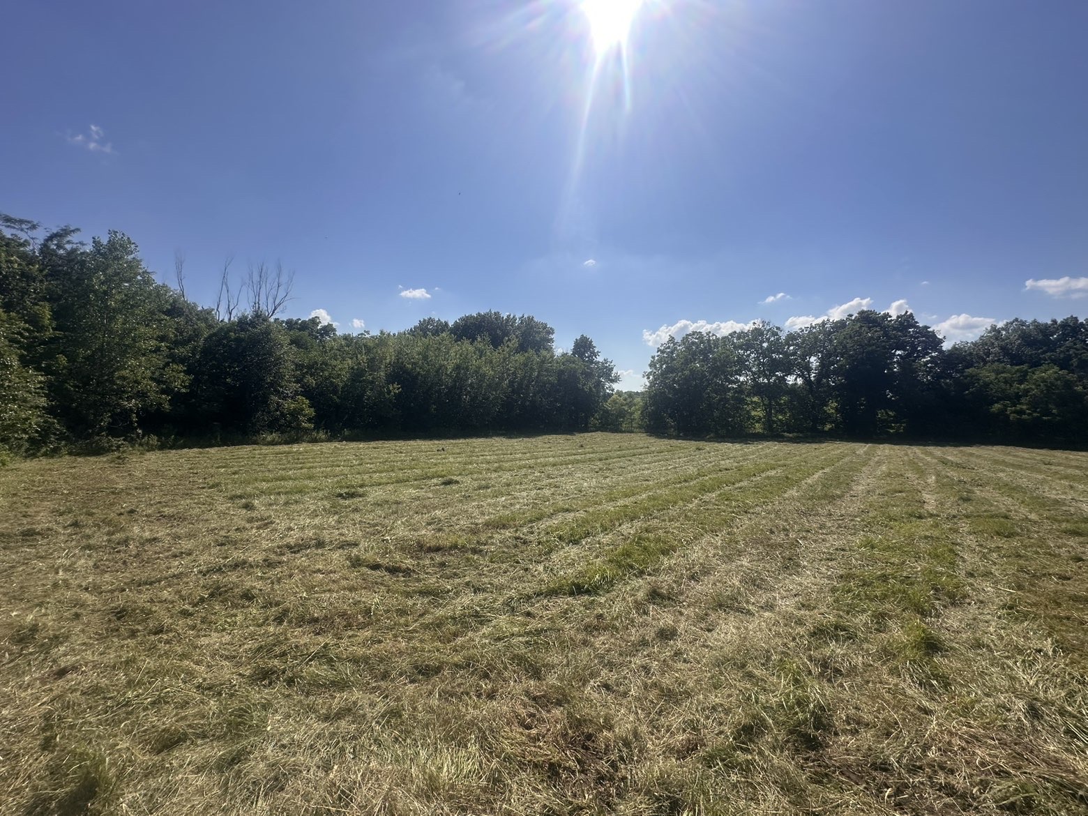 Brush and tree removal northeast Missouri — Emanuel Excavation